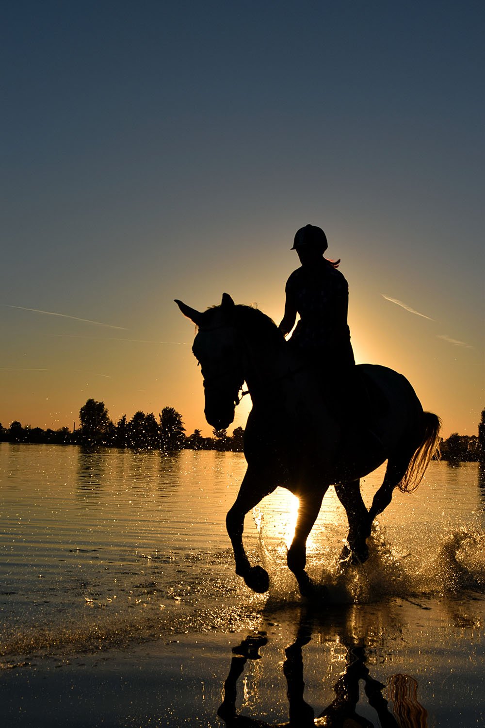 The meeting of the Horse and Rabbit is considered an interesting and challenging aspect in Chinese astrology. Patterns and burdens inherited from the family, as well as awkward or uncomfortable situations, may resurface.